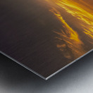 Central Virginia Tobacco Barn at Sunset Metal print