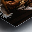 Colonist Metal print