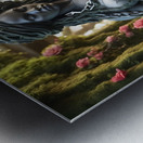 Rose in the Garden Metal print