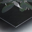 Abstract Green Lily Flower Bouquet Metal print