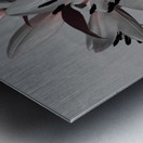 Abstract White Lilies on a Muted Background Metal print