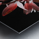 Abstract Lily Vase Bouquet Metal print