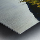 The Wicked Wood Metal print