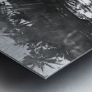 Dylan BW 01 Cabarete Bay Sept 24 Metal print