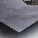 The Summoning   Metal print