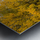 Inviting Autumn Hiking Trail Metal print