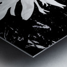 Abstract Black and White Daisy Metal print