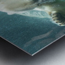 Sons close encounter with a Polar Bear 3 Metal print