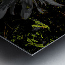 Abstract Dark Daisy Yellow Centre Metal print