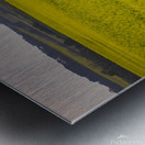 Moose in the canola Metal print