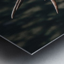 The Rutting of the Elks Metal print