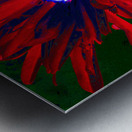 Abstract Red and Purple Daisy Metal print