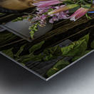 10530 Dragon Flowers  Metal print