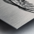 early 1900s owl wingfield Metal print