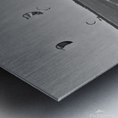 Bella September2024 3BW Metal print