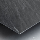 Bella September2024 6BW Metal print