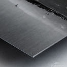 Jenny Cosmic Babarete Bay 10 BW August 2024 Metal print