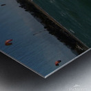 Jenny Cosmic Babarete Bay 51 August 2024 Metal print