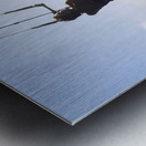 Jenny Cosmic Babarete Bay 44 August 2024 Metal print