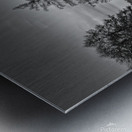 Pilgrimage Church of the Holy Trinity - Bohemia - BW Metal print