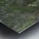 Resilience in Bloom A Pink Flower on Withered Branches Metal print