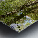 A Walk Through the Scottish Highlands  Metal print