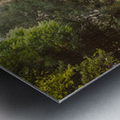 Gruene & Beyond Metal print