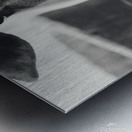 Rustic Elegance Metal print