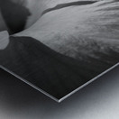 Monochrome Floral Metal print