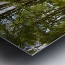 Lush Nature in the Scottish Highlands Metal print