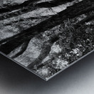 Dark Forest of the Scottish Highlands  Metal print