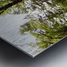 Sunlight on the Path in the Scottish Highlands Metal print