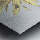 Abstract Calming Daisy Flower Metal print