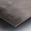 An Icy Path Metal print