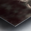 Dreams of Life Metal print