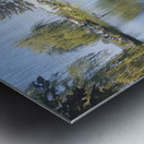 received 414459888341484 Metal print