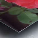 received 1596883514545421 Metal print