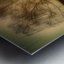 Sunset Through the Birches Metal print