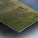 End Of Summer Metal print