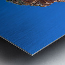 Red rock formation near Sedona in the United States Metal print