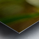 Closeup macro shot of fresh glittering dewdrops on green blade of grass Metal print