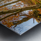 Sun rays in the autumnal forest Metal print