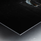 Pumpkin Patch Metal print