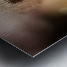 Dandelion Metal print