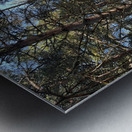 Autumnal Nature Walk through the Scottish Highlands  Metal print