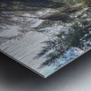 Autumnal Sunlight to the Forest Floor Metal print