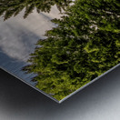 Homestead Resort Panorama Metal print