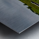 Homestead Resort Virginia Farm 1 Metal print