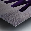 Wild Cats Metal print