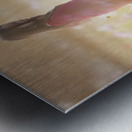 Peaceful Meadow Utah United States Metal print